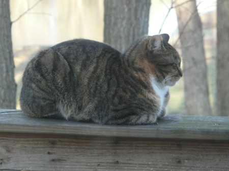 05-05-08-070 05-05-08-070