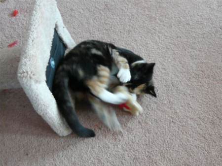 05-05-08-073 05-05-08-073