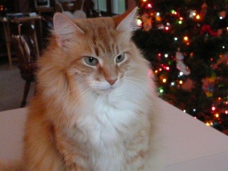 05-05-08-079 05-05-08-079