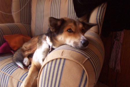 christmas-014 christmas-014