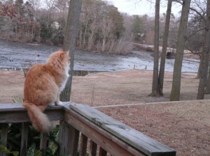 King of all he surveys