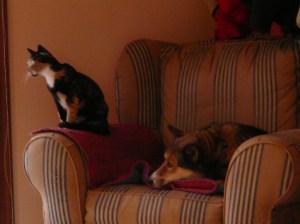 What?  No leftovers?