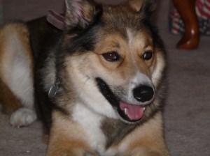 082809 016 082809 016