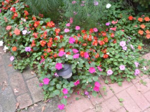 082809 019 082809 019