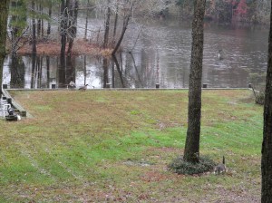 111409 027 111409 027