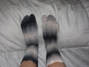 heron toe socks 012