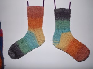 socks 002